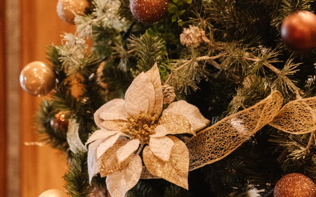 Noël : 5 idées de contenu pour votre hôtel-restaurant