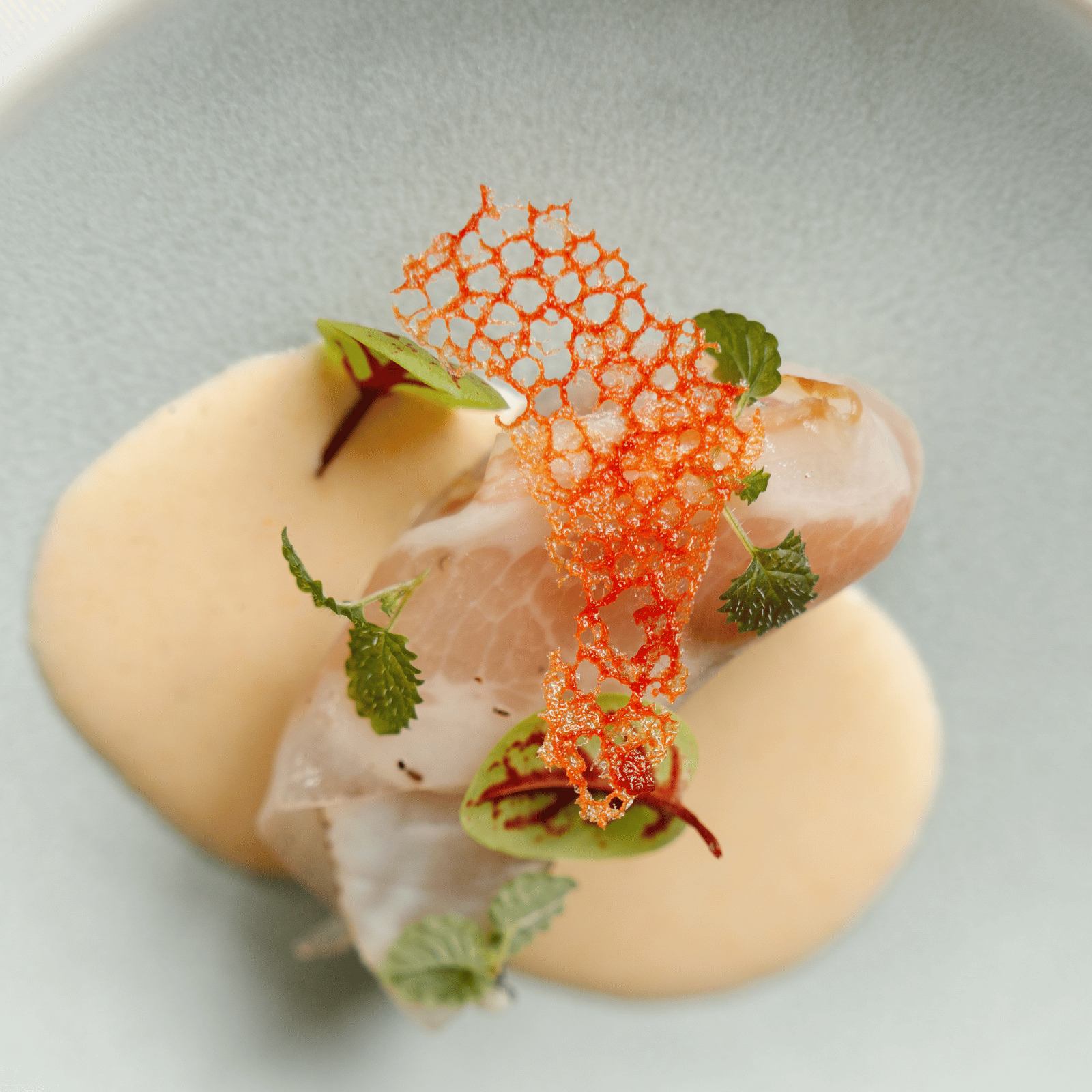 photographe restaurant culinaire savoie