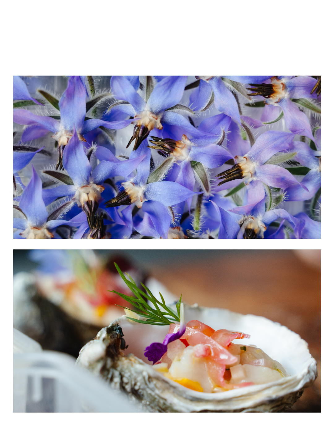 photographe restaurant culinaire savoie 